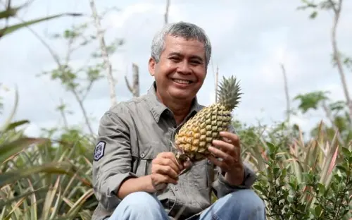 KLHK Kembangkan Potensi Produk Unggulan Lokal Lahan Gambut