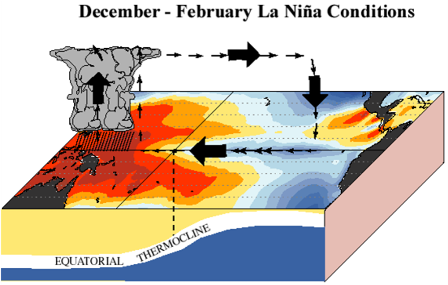 El Nino, Sejarah dan Dampaknya terhadap Cuaca Global juga Lingkungan