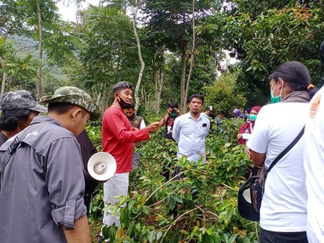 Tenyata Menjadi Petani Kopi Itu Tidaklah Mudah, Begini Ceritanya!