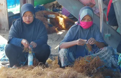 Pesta Rakyat Pesisir Jeneponto, Perempuan Pesisir Berjuang Selamatkan "Emas Hijau"