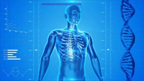 Udara, Sarang Utama Mikroplastik yang Bersarang di Tubuh Manusia