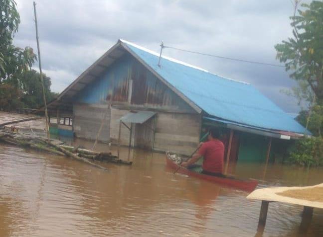 Banjir Kalsel, Akumulasi Kerusakan Lingkungan