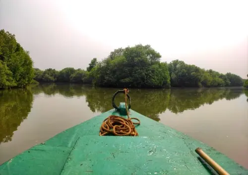 Dengan 500 perak, Ayo Membantu Upaya Konservasi Mangrove bersama KOMPAS