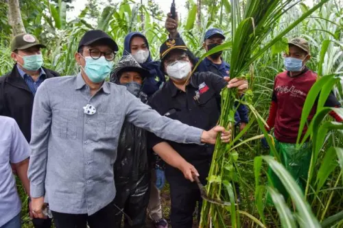 Hutan Sosial Diharapkan Dongkrak Kesejahteraan Masyarakat dengan Pembangunan Wilayah Terpadu