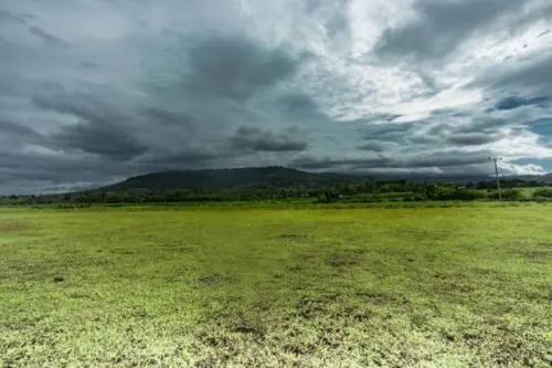 Taman Buru Ko'mara, Historiografi dan Keanekaragaman Hayatinya