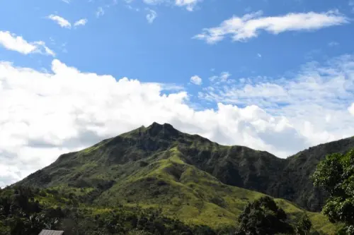 7 Fakta Keanekaragaman Hayati di Taman Nasional Gandang Dewata