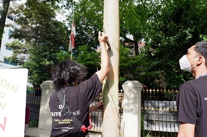 Aksi Unik Selamatkan Bumi dengan Cabut Paku di Pohon