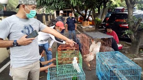 KLHK Amankan Ratusan Satwa Dilindungi di Surakarta