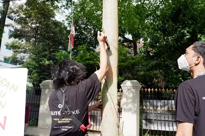 Aksi Unik Selamatkan Bumi dengan Cabut Paku di Pohon