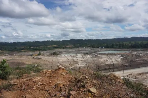JPIK Menyoal Pernyataan Ditjen PKTL KLHK Atas Penurunan Deforestasi