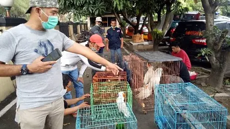 KLHK Amankan Ratusan Satwa Dilindungi di Surakarta