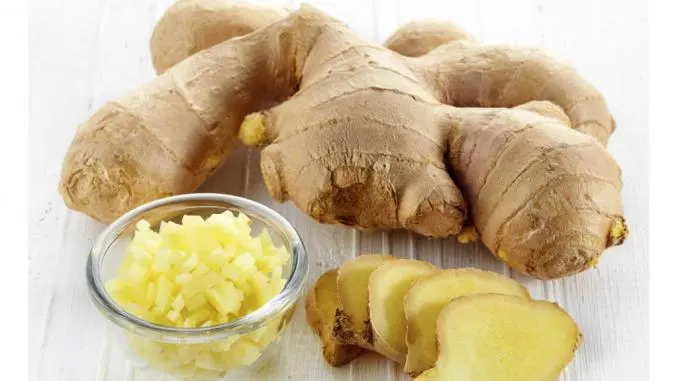Mengenal Halia, Tanaman Herbal yang Kaya Manfaat dan Cara Meraciknya