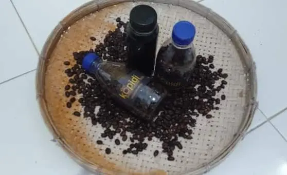 Tak Sekadar Diseruput, Ini 5 Pemanfaatan Lain dari Biji Kopi yang Jarang Dibahas!