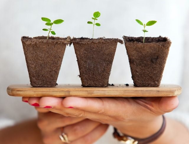 Apa Itu Keberlanjutan atau Sustainability?