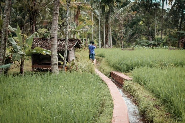 Lebaran, Ingatan, dan Wajah Kampung yang Berubah