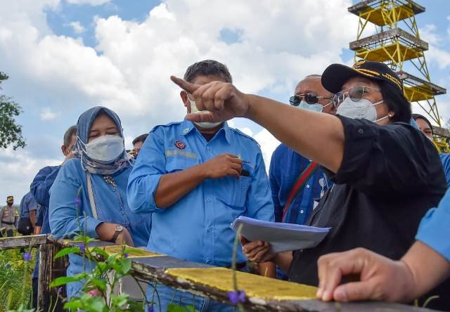 Persiapan Ibu Kota Negara di Kaltim, KLHK Mendorong Konsep Kota Hutan