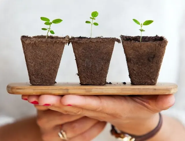 Apa Itu 'Sustainability' atau Keberlanjutan?