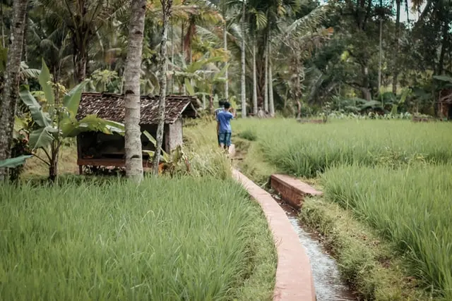 Indonesia Sejatinya Mampu Capai Netral Karbon Sebelum 2070