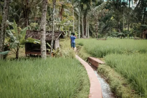 Indonesia Sejatinya Mampu Capai Netral Karbon Sebelum 2070