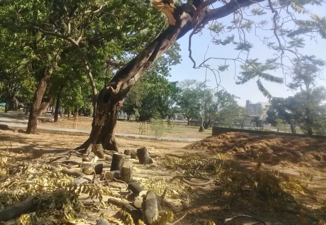 Makassar Zona Merah Bencana Ekologis