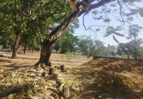 Makassar Zona Merah Bencana Ekologis