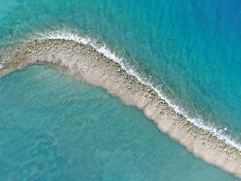 Dampak Badai Siklon Seroja terhadap Terumbu Karang di TN Perairan Laut Sawu 