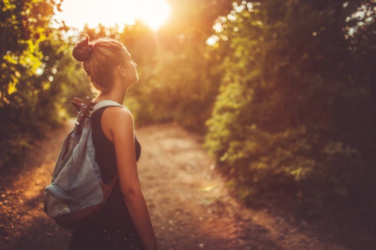 Forest Healing, Energi Menyembuhkan dari Belantara Hutan