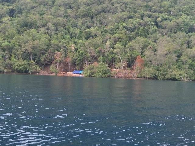 Forum PKDM Minta Hentikan Perambahan Hutan di Tepi Danau Matano