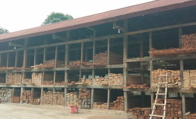 Pengurusan Izin Legalitas Kayu Secara Online Masih Dihantui Kendala Teknis