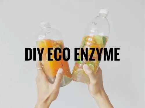 Apa Saja Sampah Organik yang Tidak Cocok untuk Bahan Eco Enzyme?