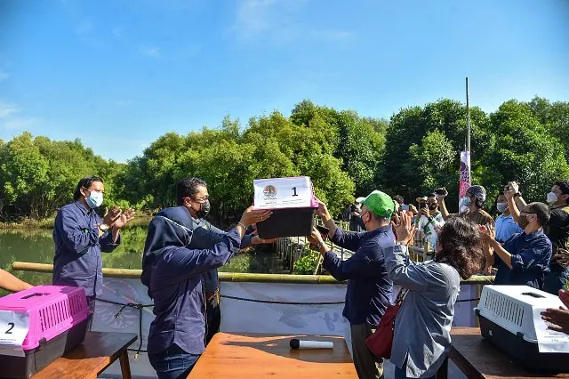 Begini Cara Burung di Hutan Kota Berperan Penting terhadap Ekosistem