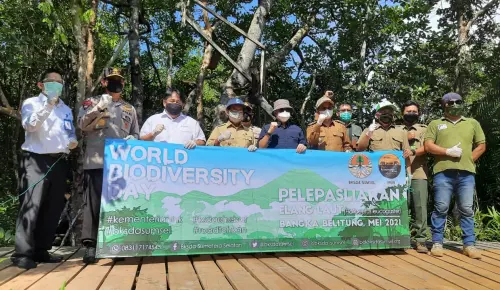 Demi Jaga Kelestariannya, KLHK Lepasliarkan Elang Laut Dada Putih