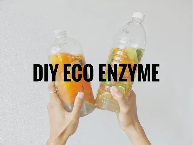 Jangan Langsung Dibuang, Ini 5 Manfaat Ampas Eco-Enzyme Pasca Panen!