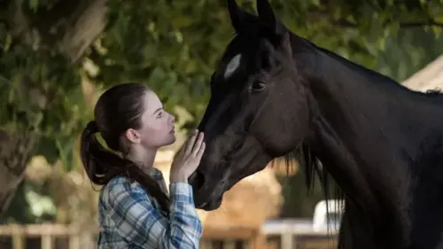 Menonton Film Black Beauty dengan Rasa Haru