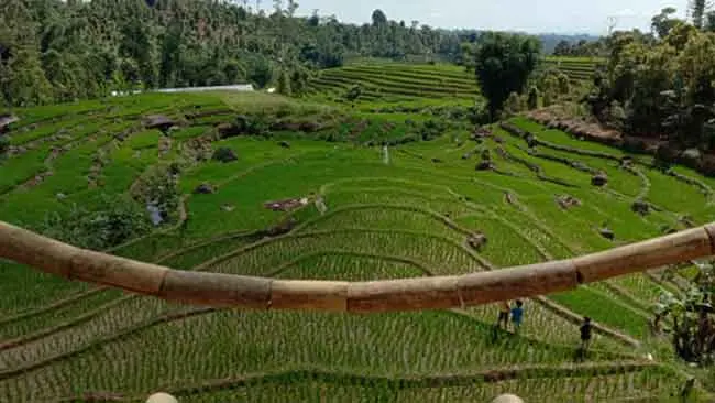 Pasca Pandemi, Peluang Ekowisata Semakin Menanjak