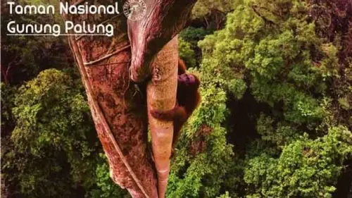 Tentang Tanagupa yang Jadi Rumah Baru bagi Jala