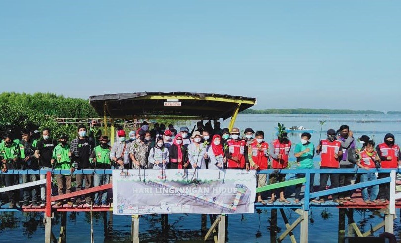 DLH Makassar, Gojek dan Mitra Hijau Asia Menanam Mangrove di Lantebung