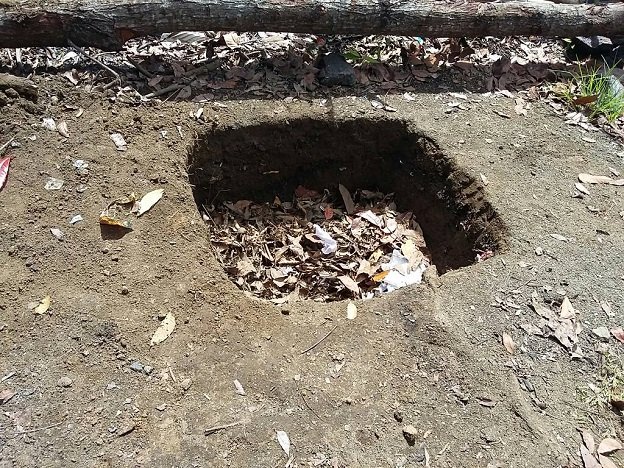 Kenapa Penting Mengompos Sendiri dan Apa Keuntungannya?