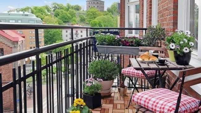 6 Hal yang Perlu Diperhatikan Saat Menghias Balkon dengan Tanaman
