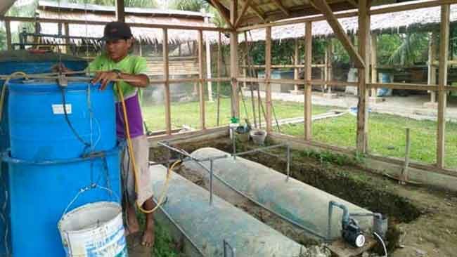 Mengintip Desa yang Melawan Kerusakan Alam dengan Transisi Energi Biogas
