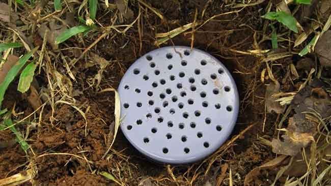 Biopori, Solusi Murah Meriah Singkirkan Genangan di Antara Kita