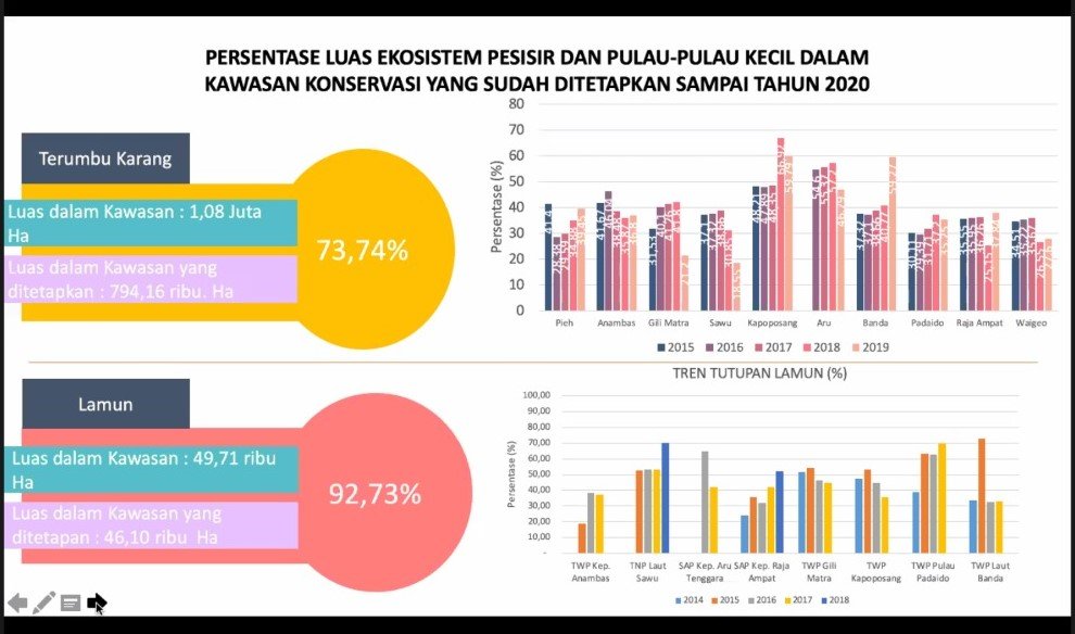 Menyandarkan Harapan pada Potensi Karbon Biru di Indonesia