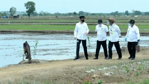 Program Food Estate Belum Mampu Atasi Ancaman Krisis Pangan saat Pandemi