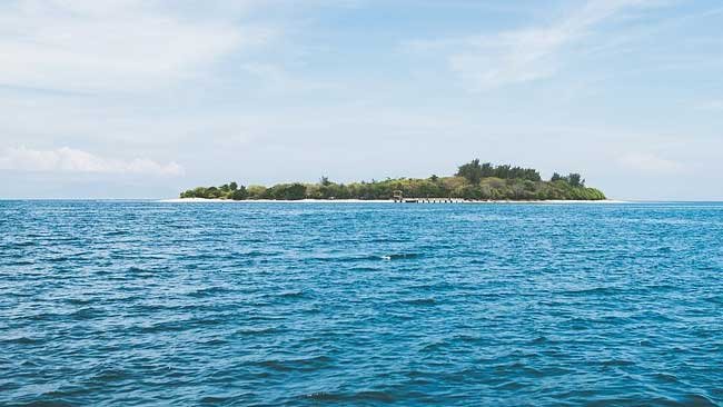 Peneliti Temukan Pulau Paling Utara di Muka Bumi