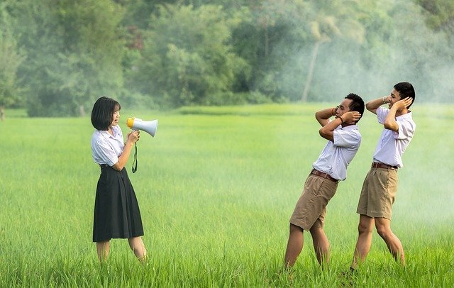 Bagaimana Tumbuhan di Hutan Kota Berfungsi sebagai Peredam Kebisingan?