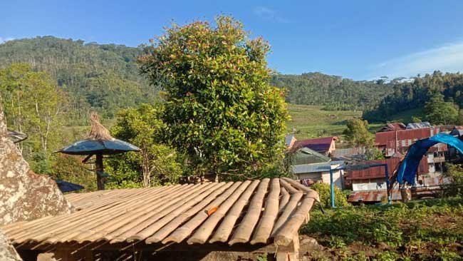7 Kendala Pengembangan Desa Wisata yang Harus Diurai