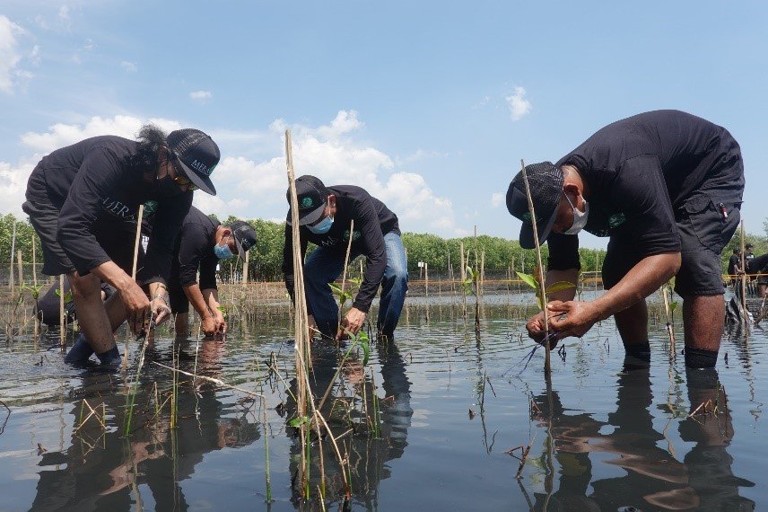 Mengamankan Masa Depan, Penanaman Sejuta Mangrove dan Aksi Generasi Muda di Hari Mangrove Sedunia 2026