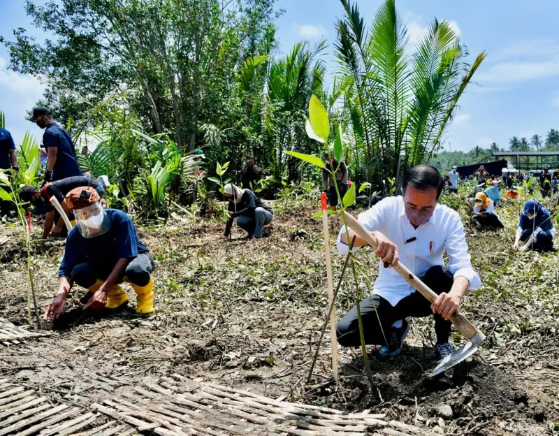 Presiden Jokowi: Tanam Mangrove untuk Mitigasi Dampak Perubahan Iklim