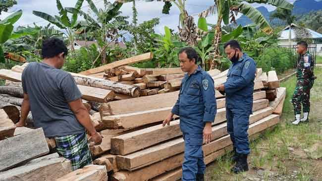 Penyidik Rampungkan Berkas Perkara Kasus Industri Kayu Ilegal di Sulbar