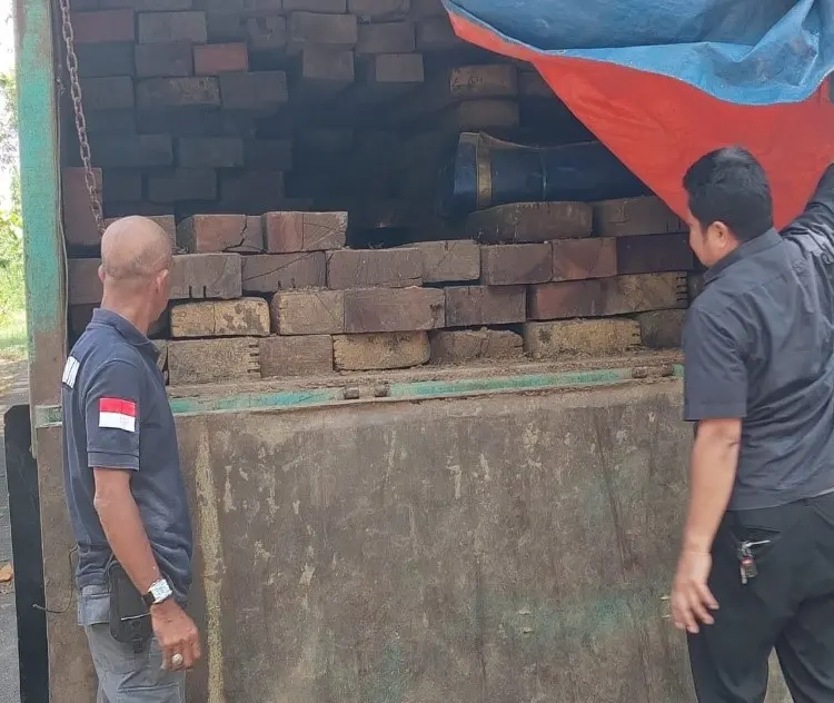 KLHK Menahan Pelaku Perdagangan Kayu dengan Modus Dokumen Palsu